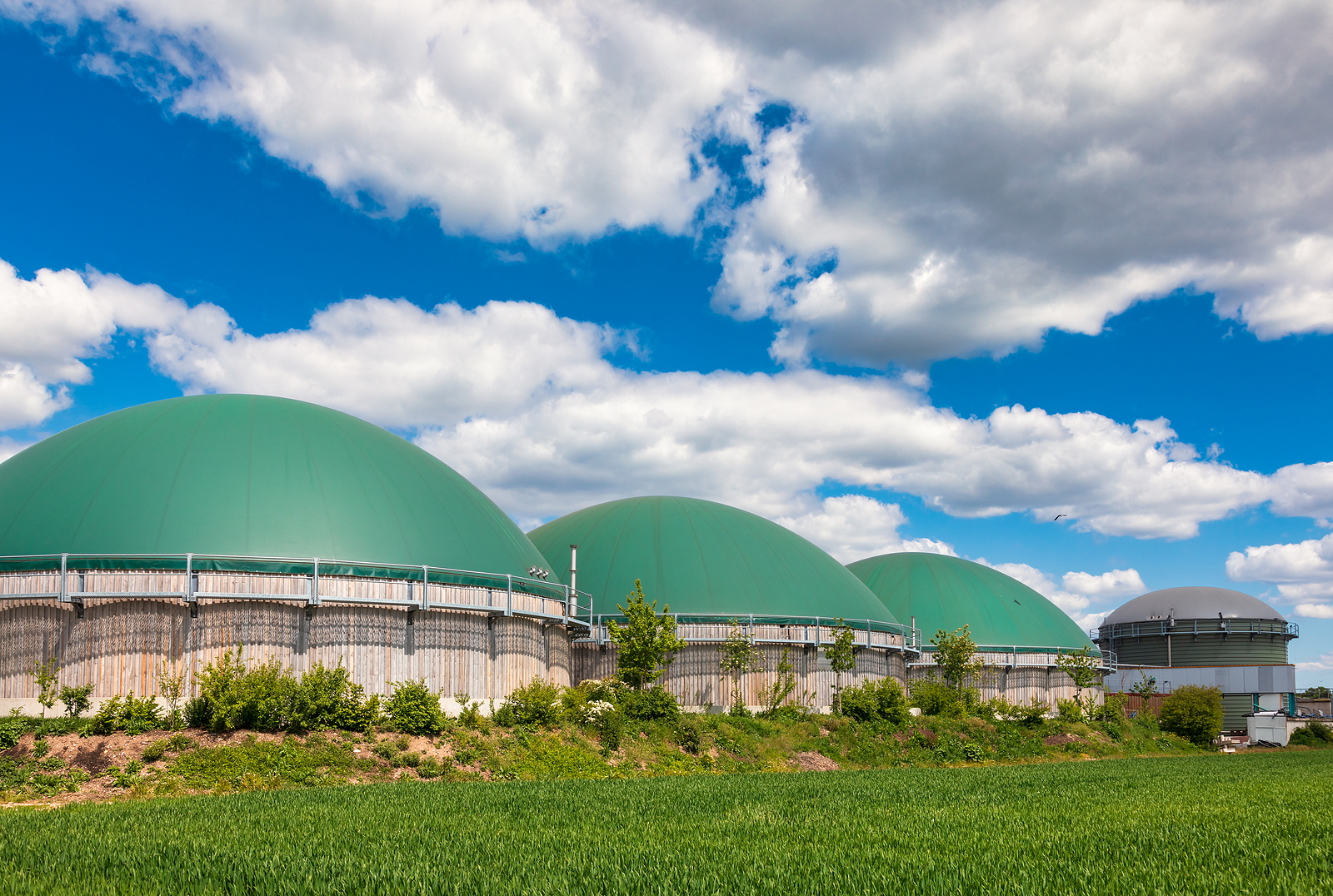 Anaerobic digesters or Biogas plant producing biogas from agricu